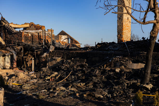 Reliable Content Restoration contractor in Newport, MN by Fire Damage Laser Cleaning